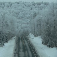 Winter Jan 2011